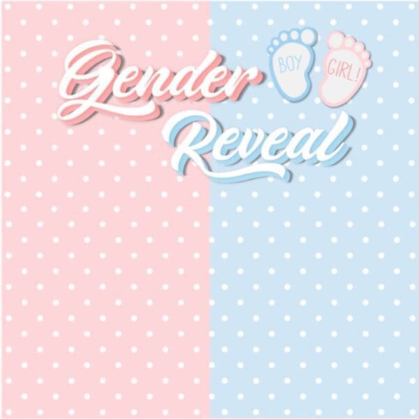 Gender Reveal Vinyl Banner backdrop