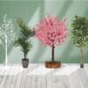 Our tree rentals include cherry blossoms, palm trees, ficus trees, and birch trees.